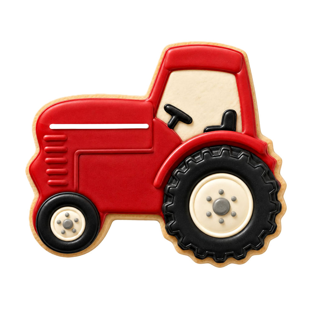 T1010RTCCS_cookie