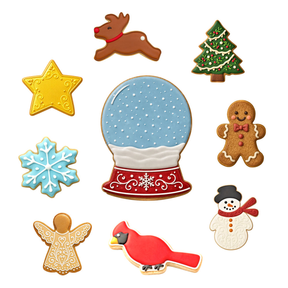 EBSNOWGLOBETCCS_cookies